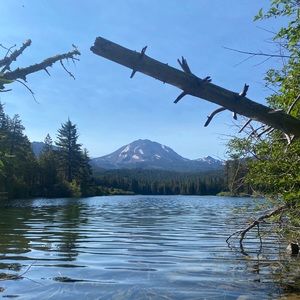 Meet your Posher, Kc